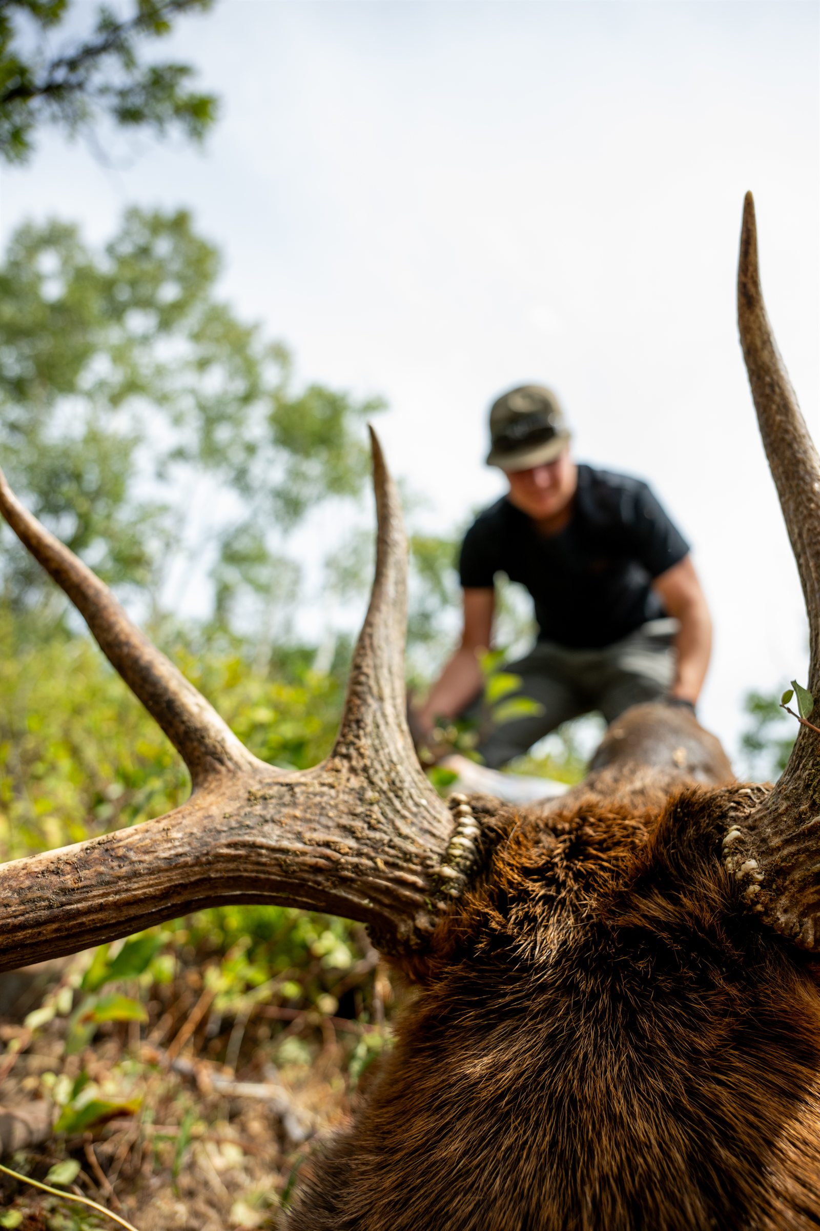 Outdoor harvest detail with antlers