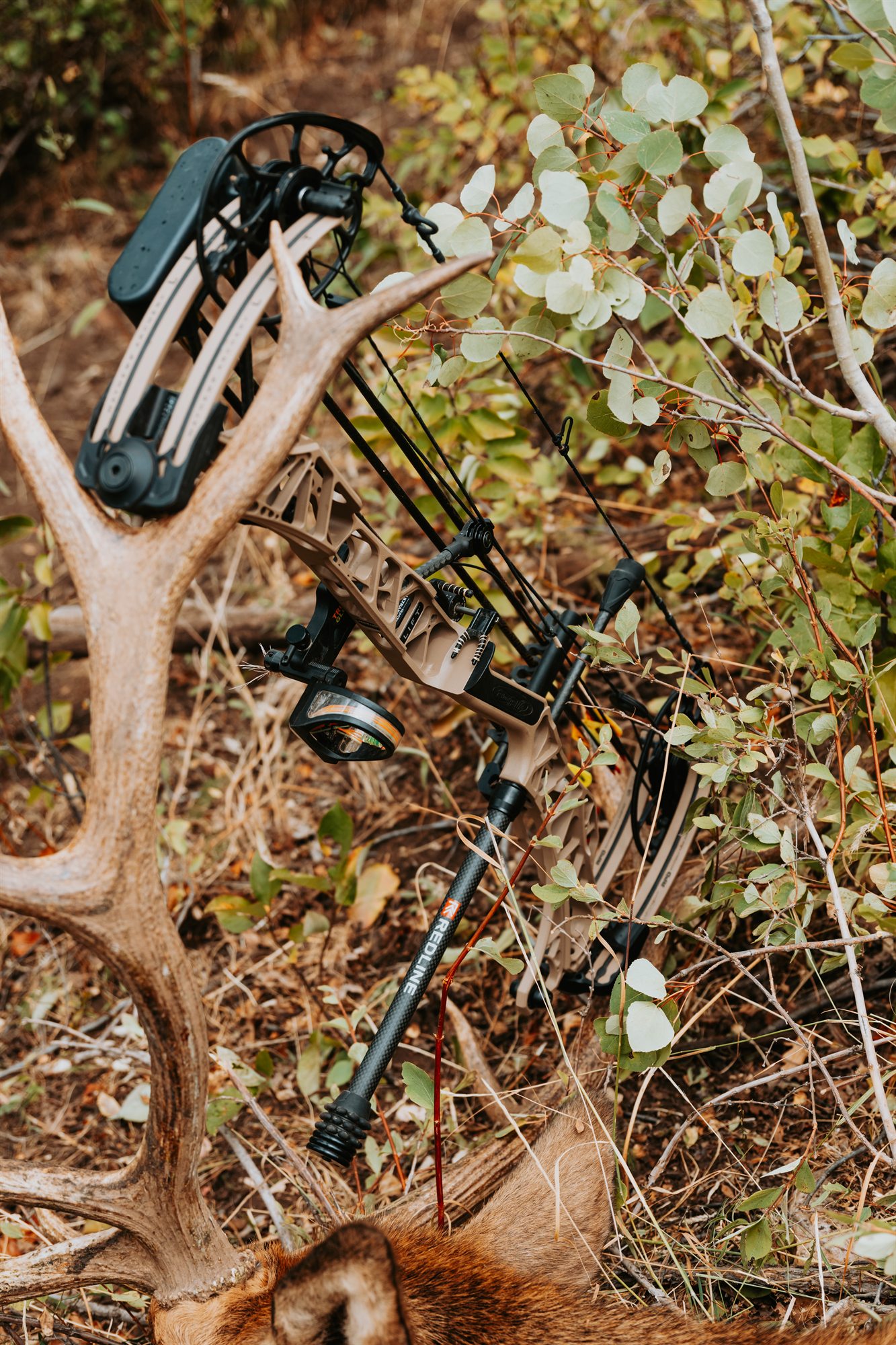 Hunter and field gear photographed outdoors