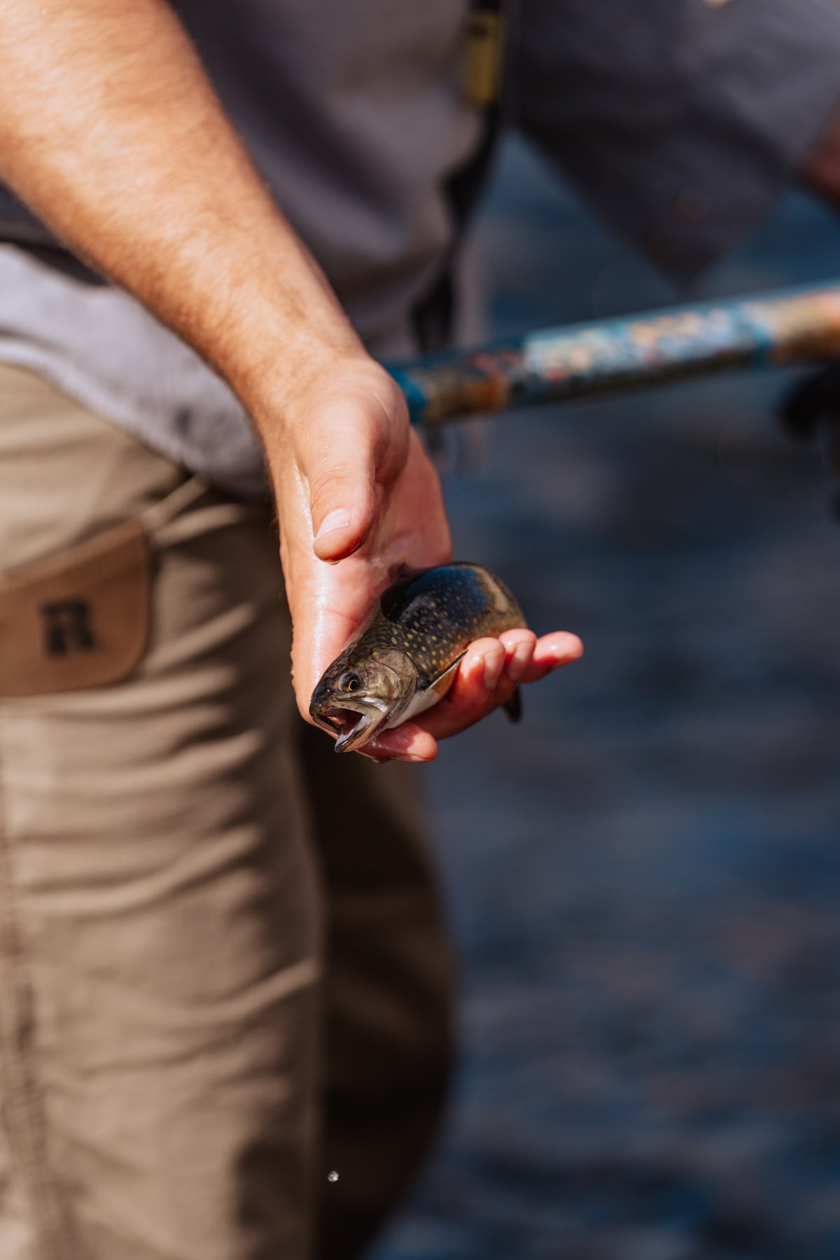 Angler holding a freshly caught fish