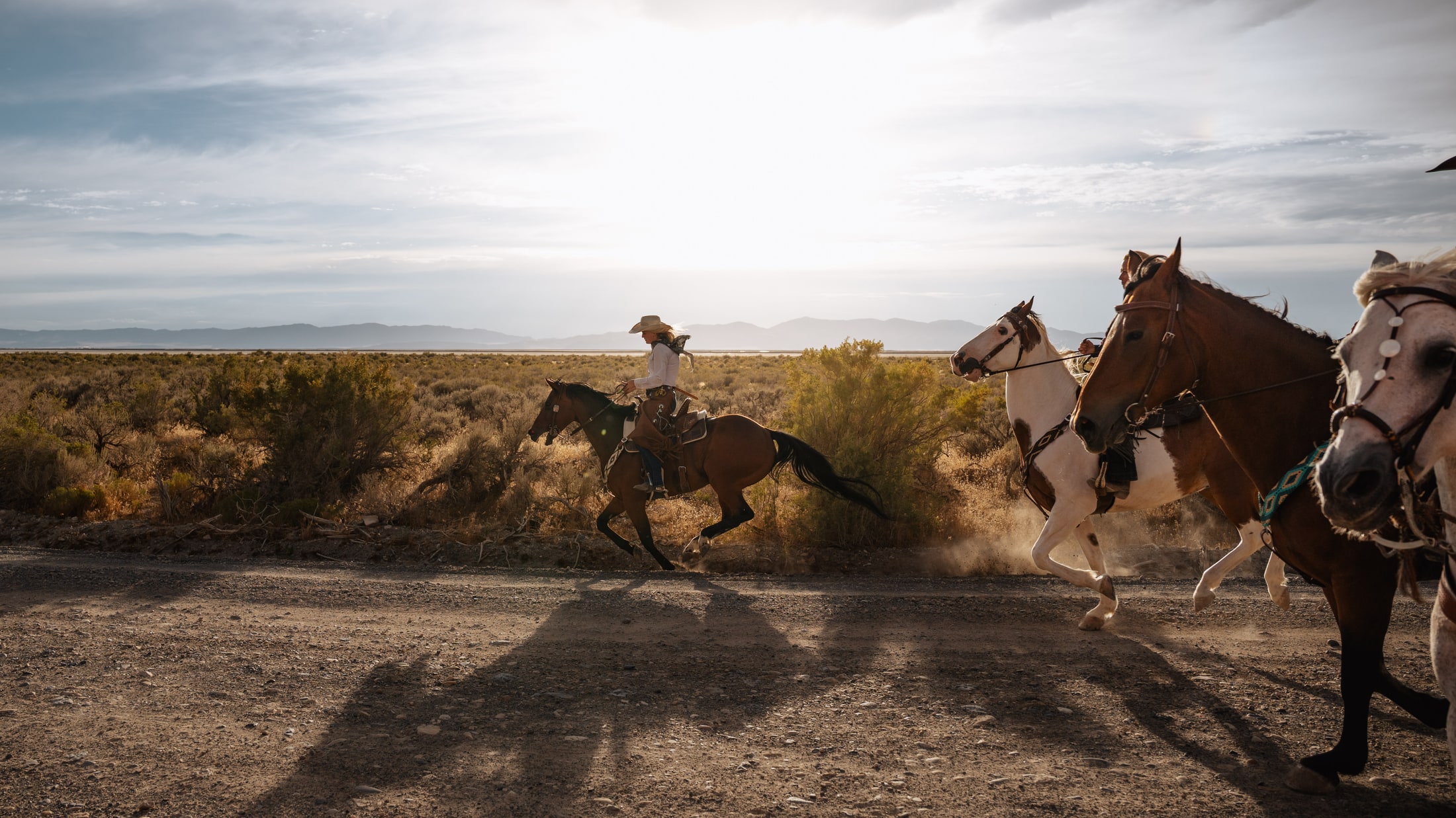 Horse riders galloping across open country