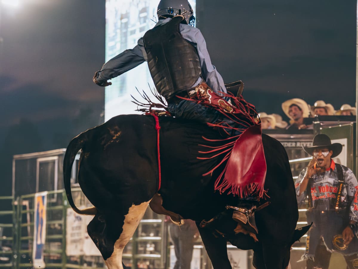 Rodeo action workshop scene